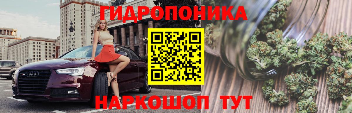 Бошки марихуана тримм  Канабис AK-47  Марихуана Ganja  Вход с VPN  Марихуана Ganja  Горячий Ключ 